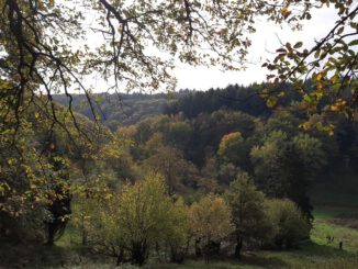 Eltville markiert neuen 5,4 Kilometer langen Rundweg in Rauenthal