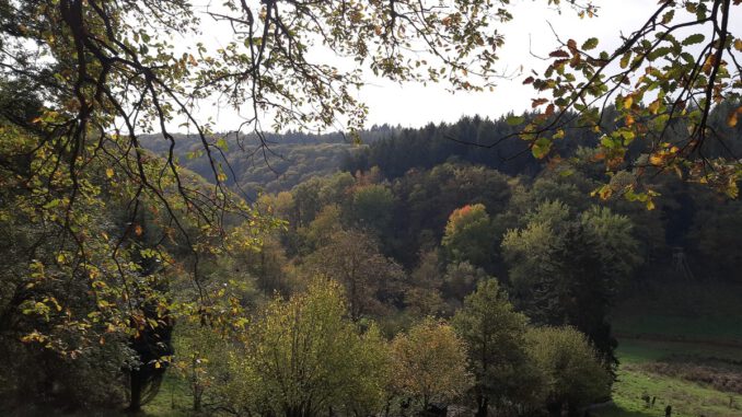 Eltville markiert neuen 5,4 Kilometer langen Rundweg in Rauenthal