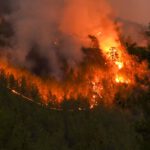 Hohe Waldbrandgefahr: Grillen in städtischen Anlagen bleibt verboten