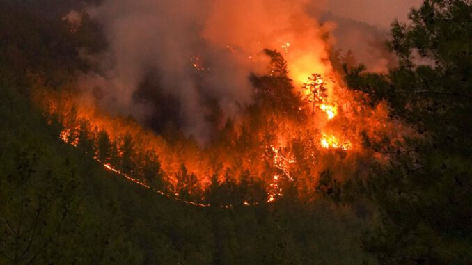 Hohe Waldbrandgefahr: Grillen in städtischen Anlagen bleibt verboten