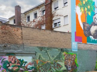 Rüsselsheimer Marktstraße 24 wird vorübergehend zu öffentlichem Stadtgarten mit Graffitikunst
